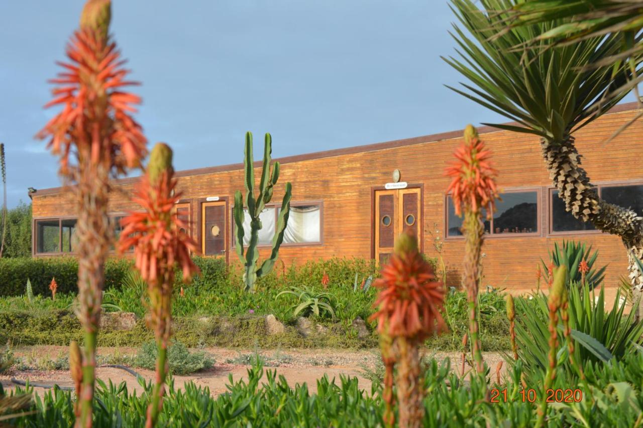 Dakhla Kitesurf World Hotel Luaran gambar