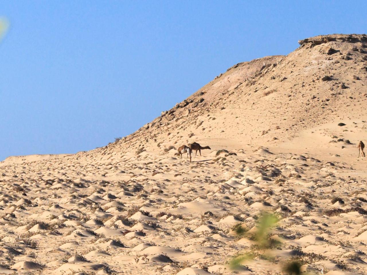 Dakhla Kitesurf World Hotel Luaran gambar